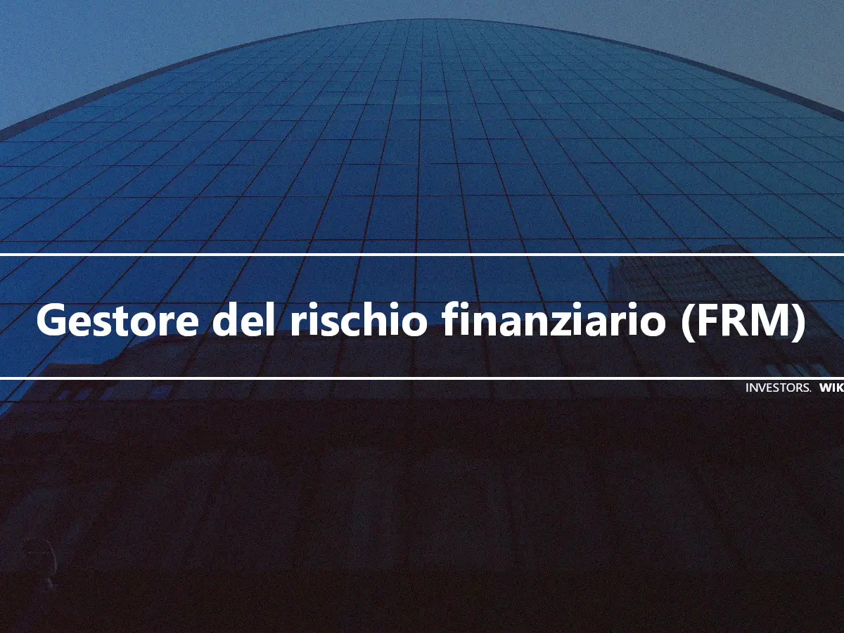 Gestore del rischio finanziario (FRM)