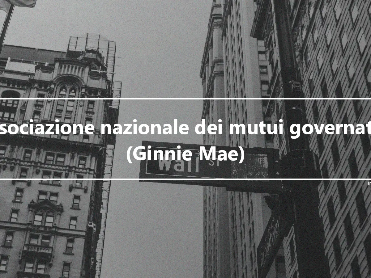 Associazione nazionale dei mutui governativi (Ginnie Mae)