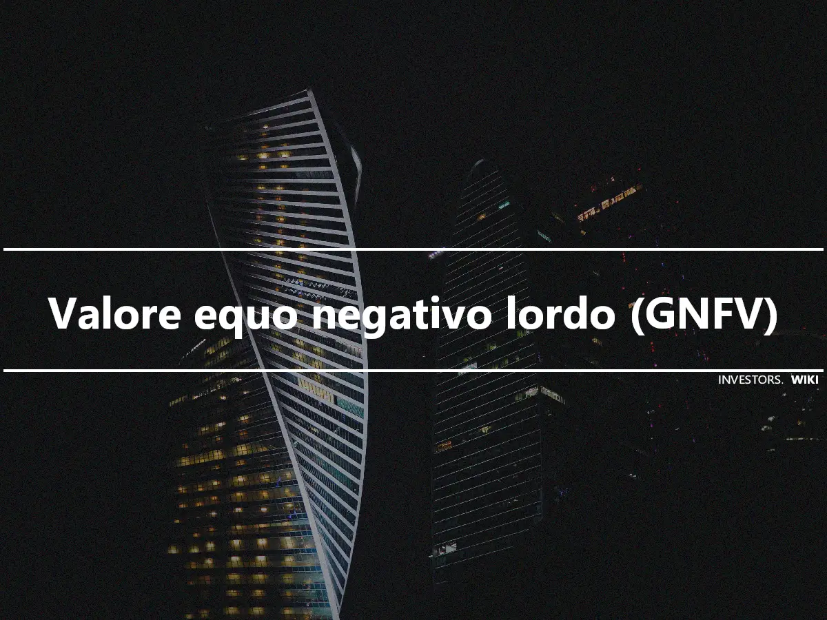 Valore equo negativo lordo (GNFV)