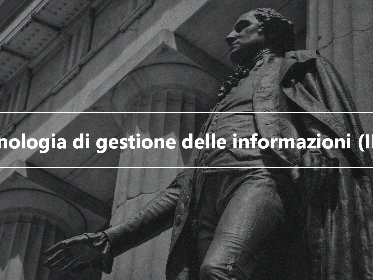 Tecnologia di gestione delle informazioni (IMT)