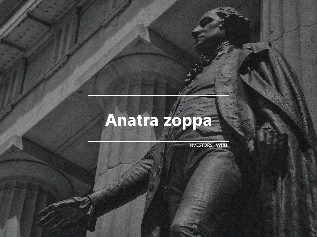 Anatra zoppa