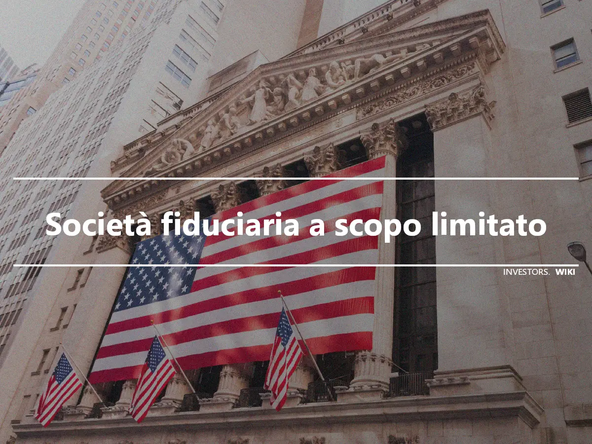 Società fiduciaria a scopo limitato