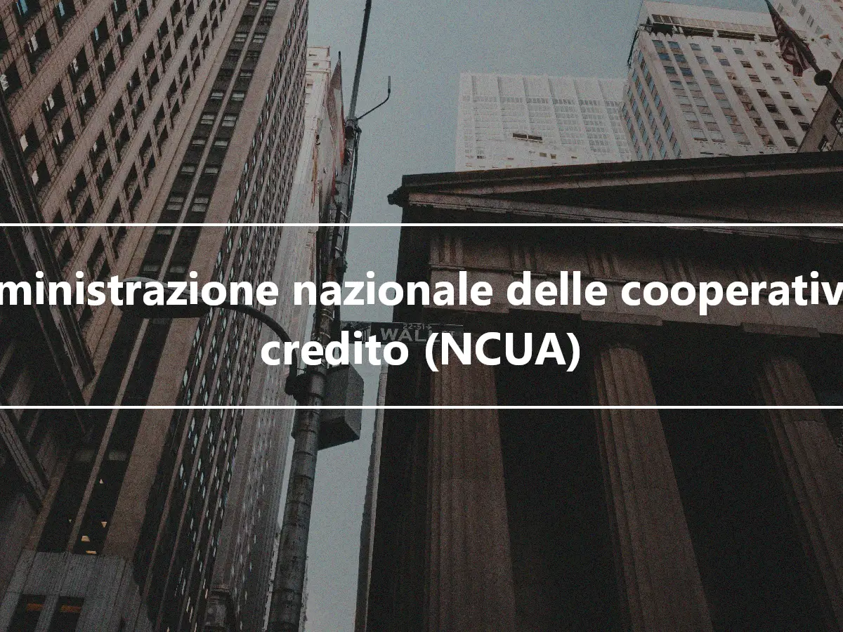 Amministrazione nazionale delle cooperative di credito (NCUA)