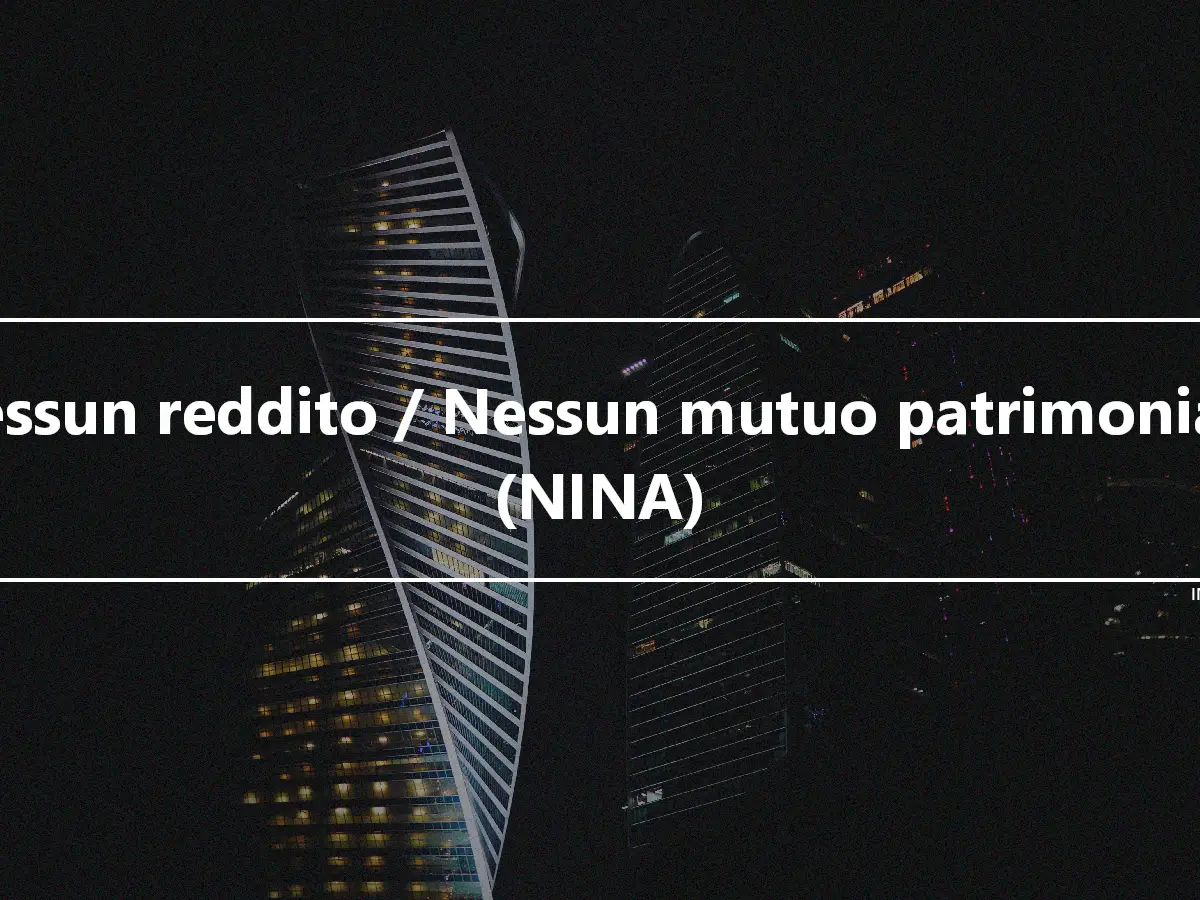 Nessun reddito / Nessun mutuo patrimoniale (NINA)