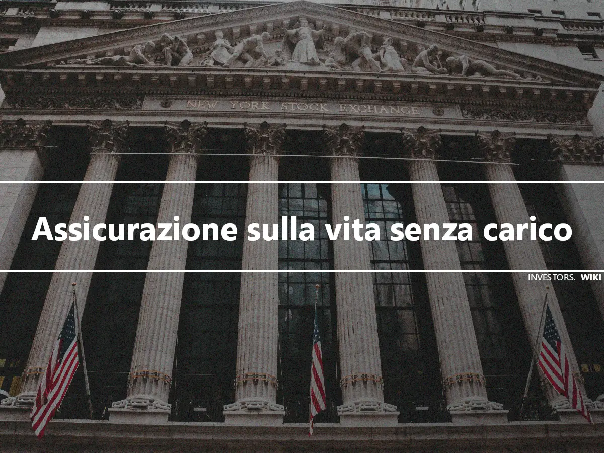 Assicurazione sulla vita senza carico