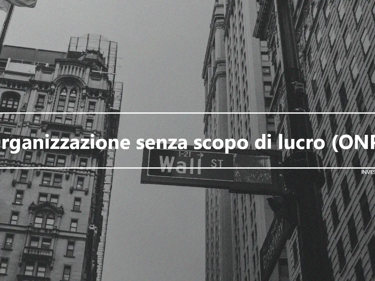 Organizzazione senza scopo di lucro (ONP)