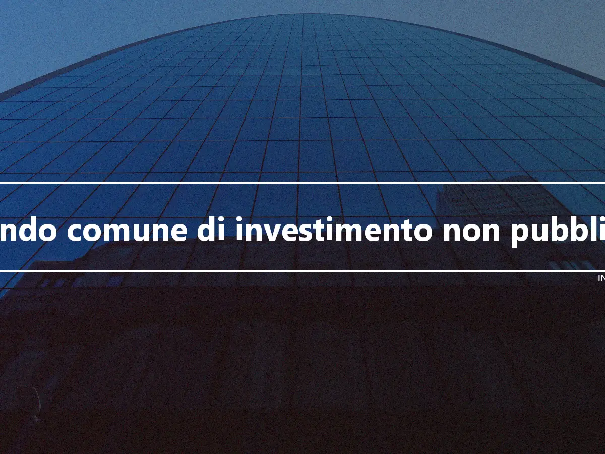 Fondo comune di investimento non pubblico