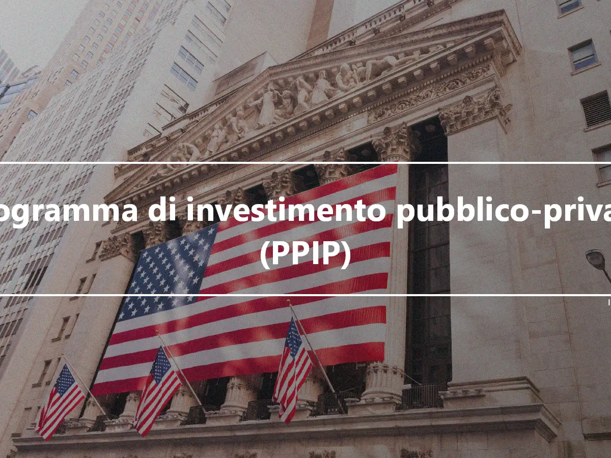 Programma di investimento pubblico-privato (PPIP)