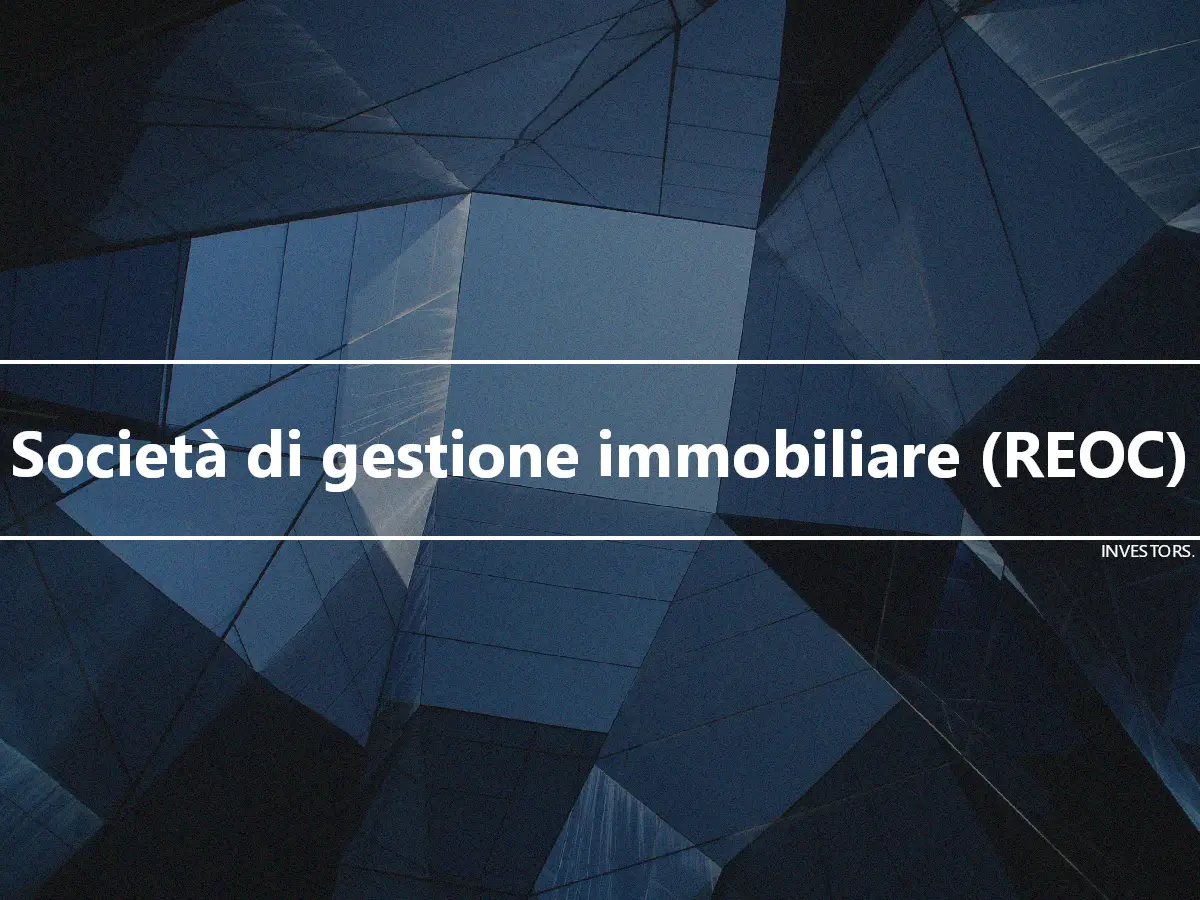 Società di gestione immobiliare (REOC)