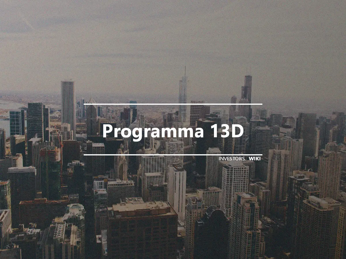 Programma 13D