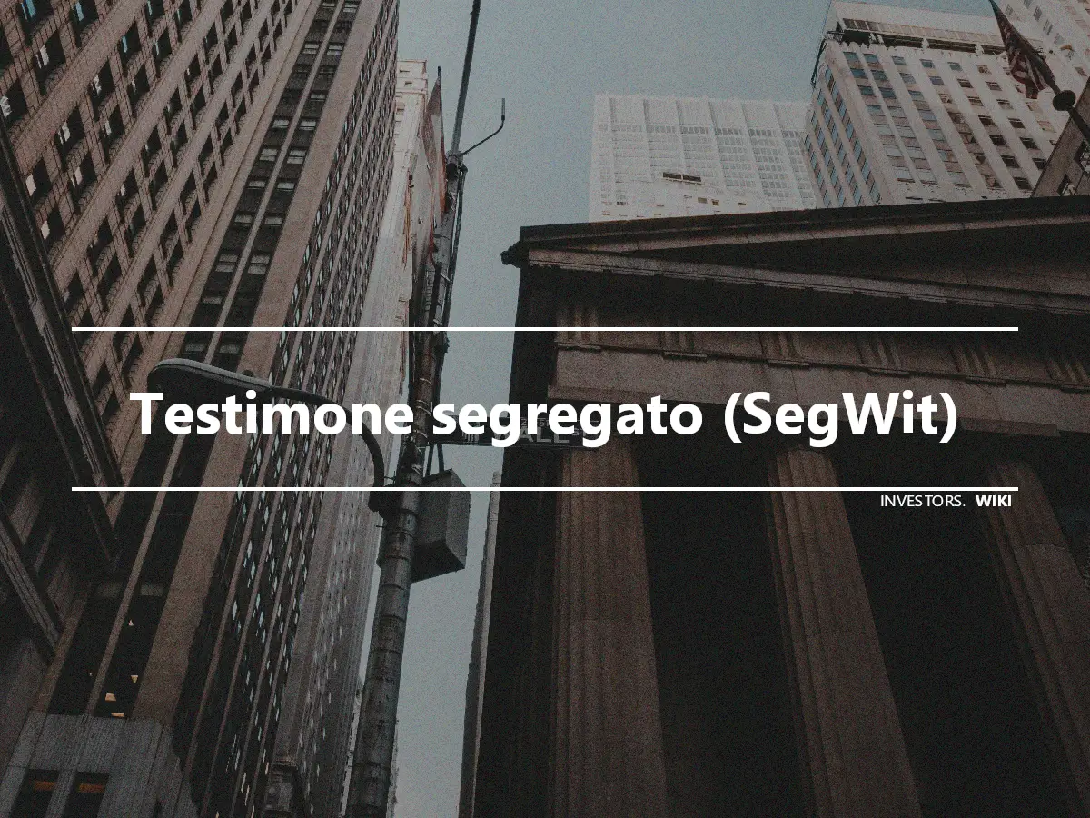 Testimone segregato (SegWit)