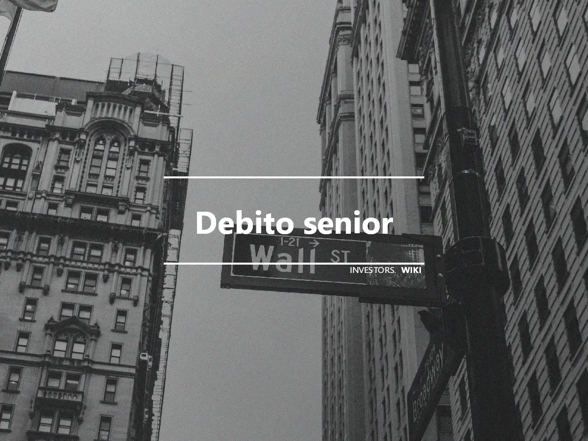 Debito senior
