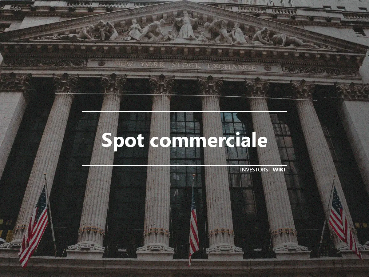 Spot commerciale