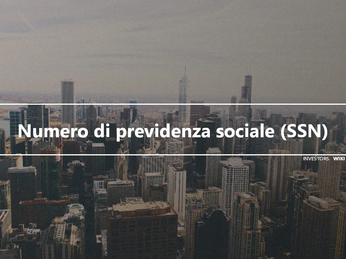 Numero di previdenza sociale (SSN)