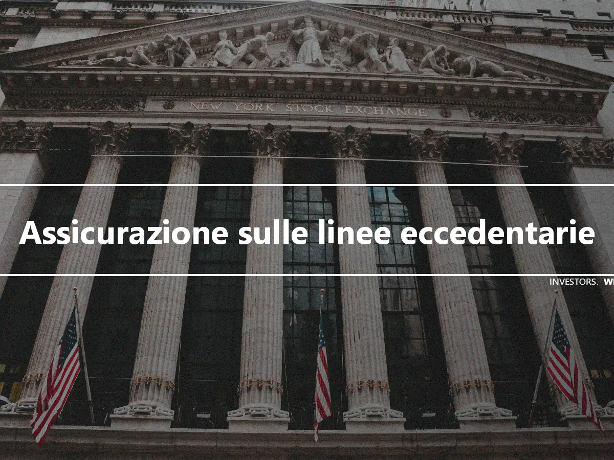 Assicurazione sulle linee eccedentarie