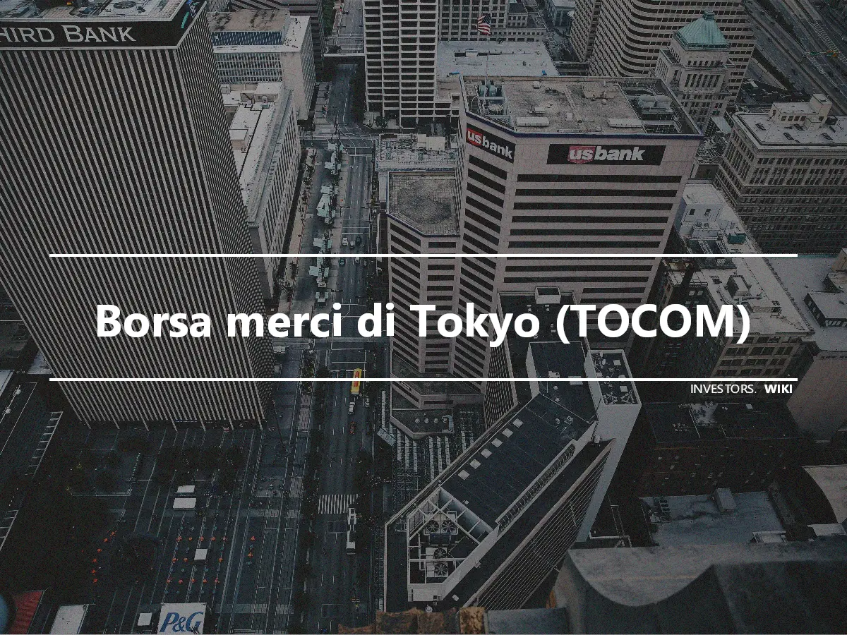 Borsa merci di Tokyo (TOCOM)