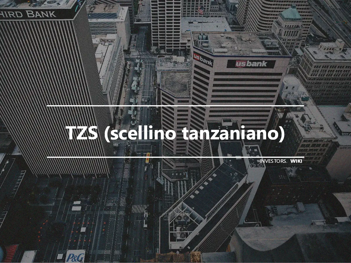 TZS (scellino tanzaniano)