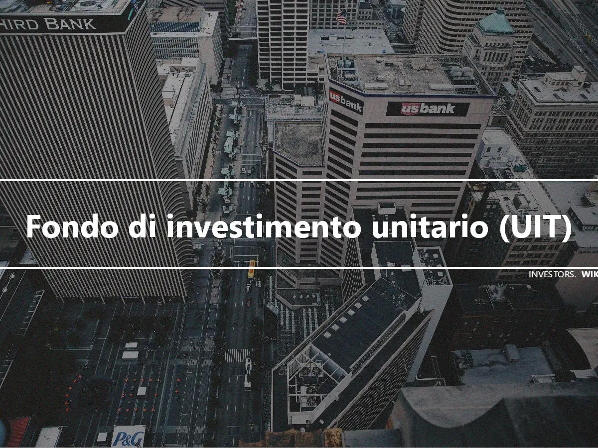 Fondo di investimento unitario (UIT)