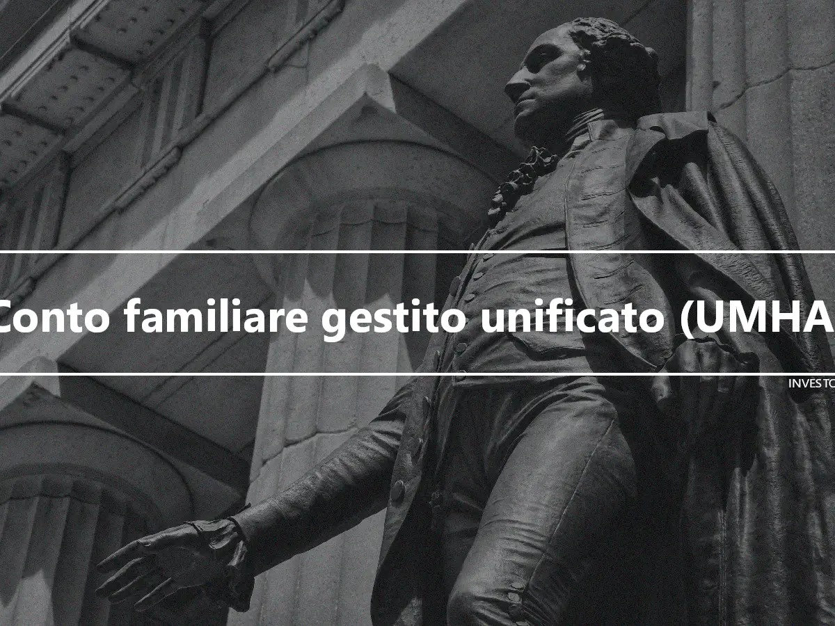 Conto familiare gestito unificato (UMHA)