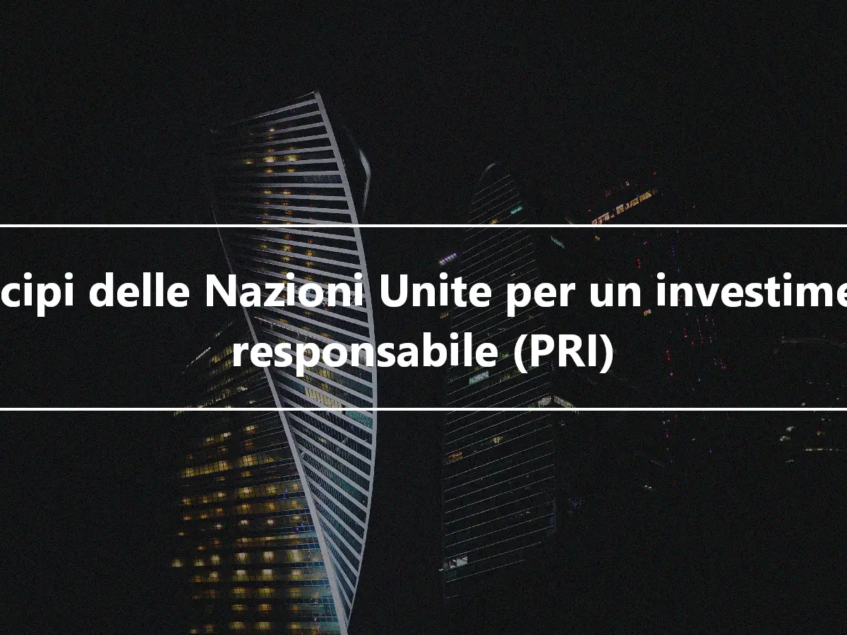 Principi delle Nazioni Unite per un investimento responsabile (PRI)