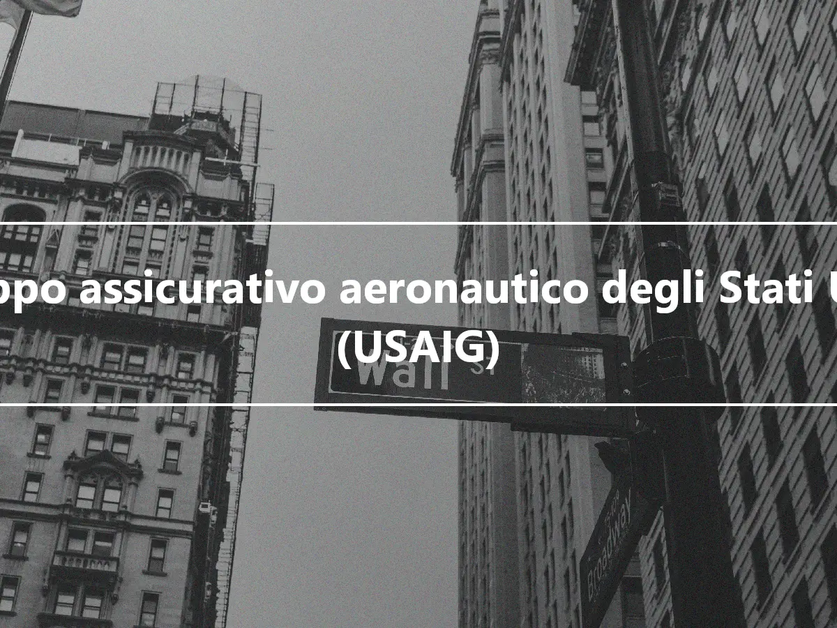 Gruppo assicurativo aeronautico degli Stati Uniti (USAIG)