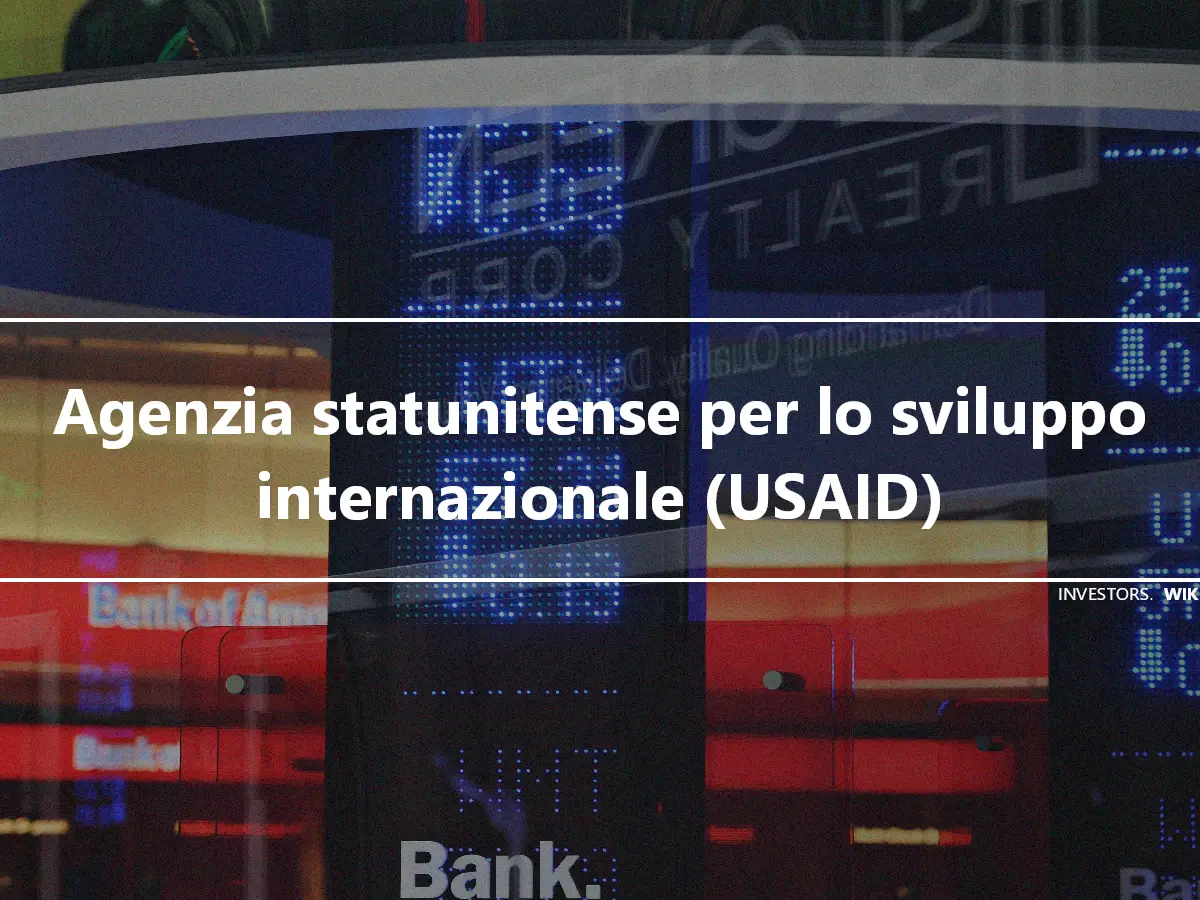 Agenzia statunitense per lo sviluppo internazionale (USAID)