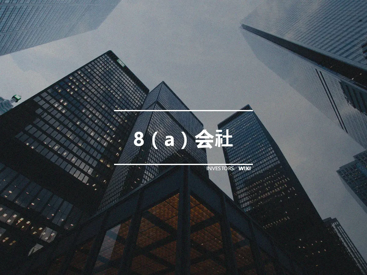 8（a）会社