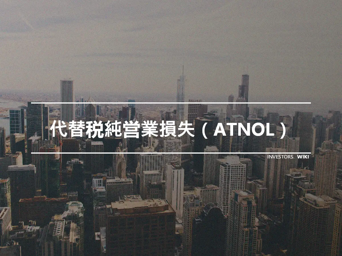 代替税純営業損失（ATNOL）