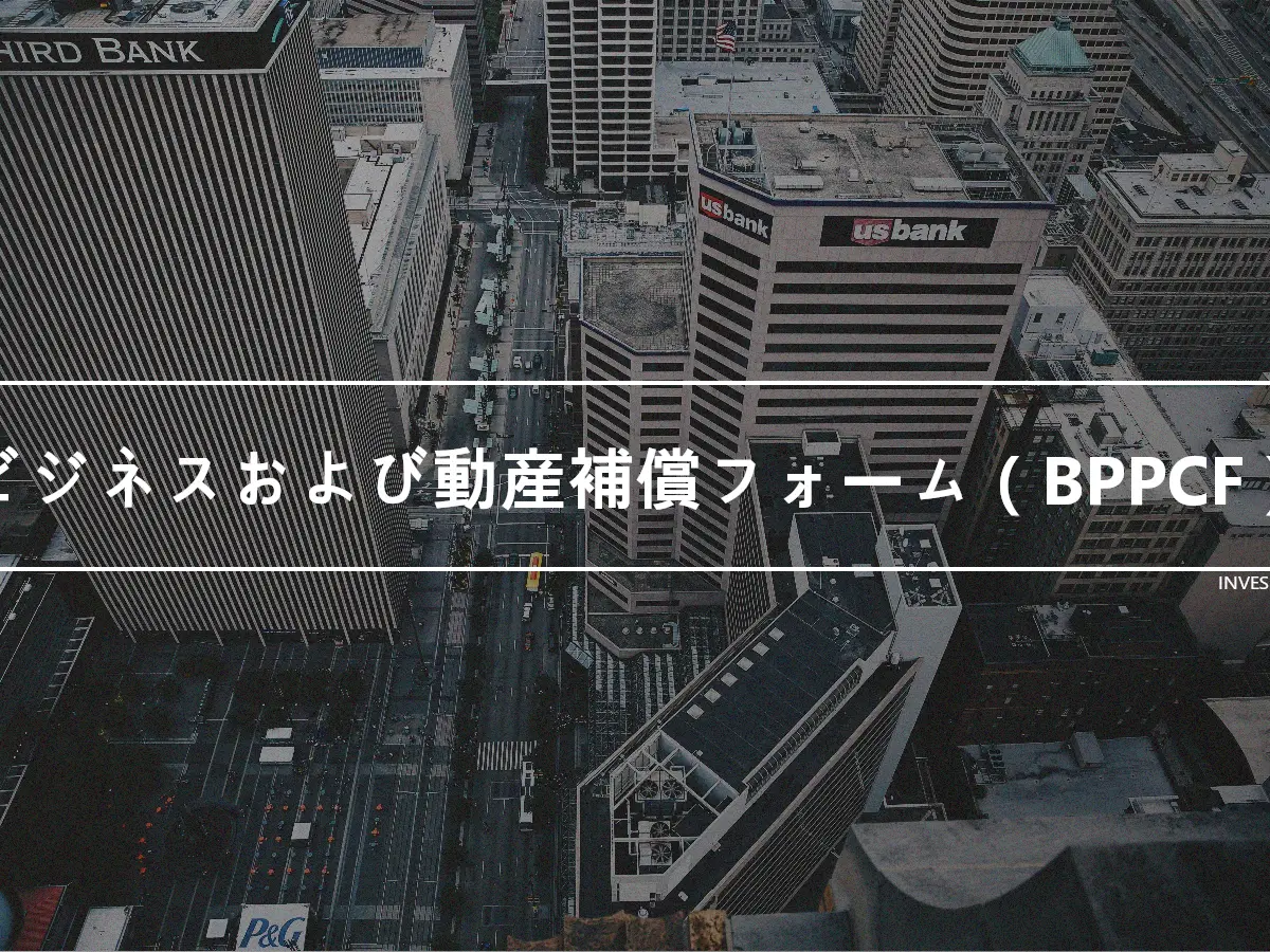 ビジネスおよび動産補償フォーム（BPPCF）