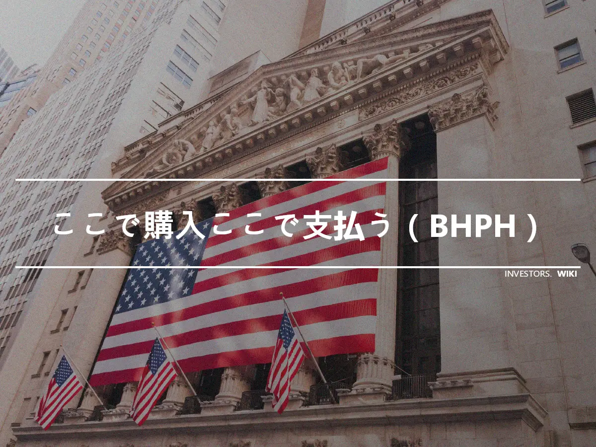 ここで購入ここで支払う（BHPH）