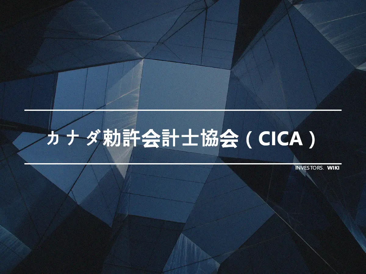 カナダ勅許会計士協会（CICA）