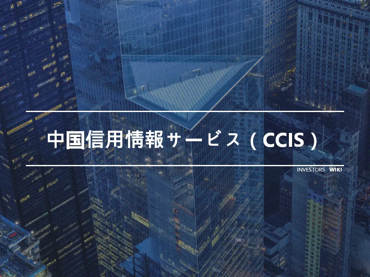 中国信用情報サービス（CCIS）