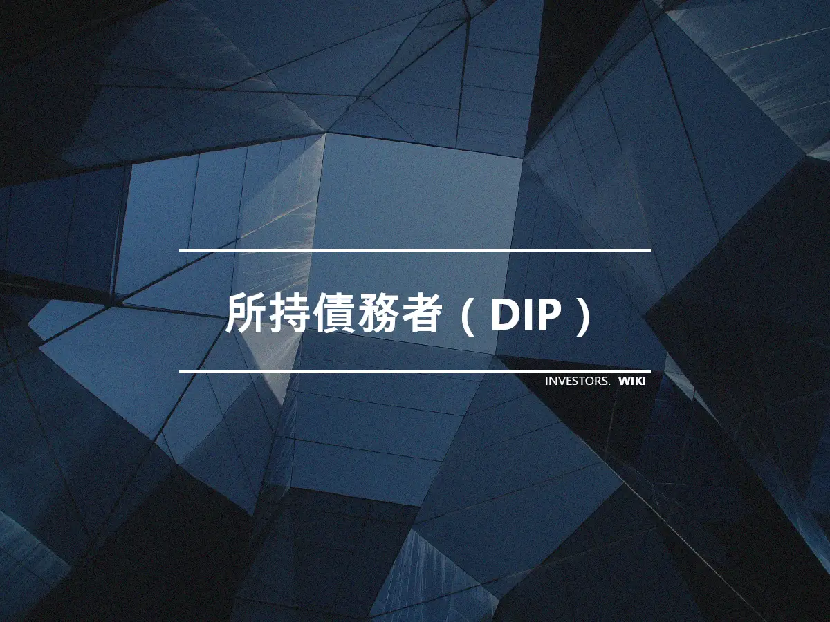 所持債務者（DIP）