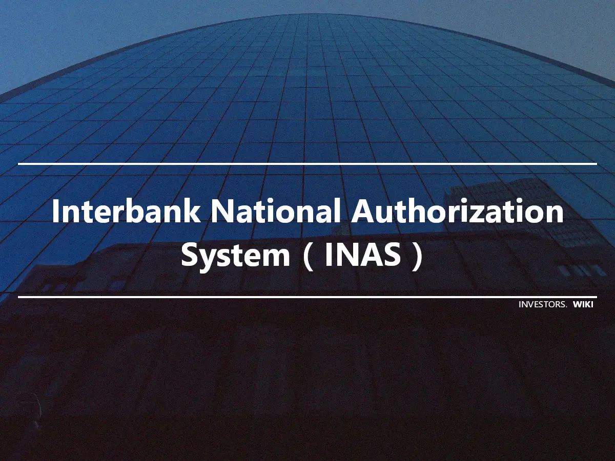 Interbank National Authorization System（INAS）