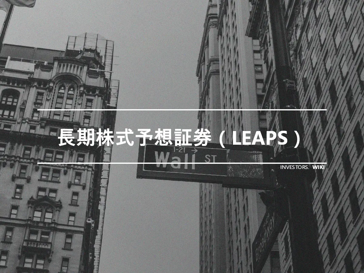 長期株式予想証券（LEAPS）