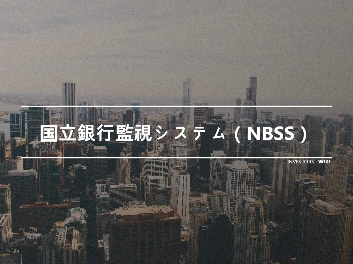 国立銀行監視システム（NBSS）