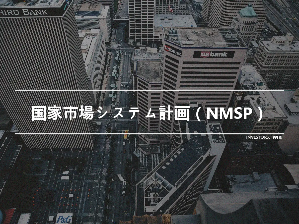 国家市場システム計画（NMSP）