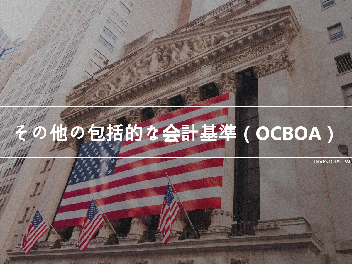 その他の包括的な会計基準（OCBOA）