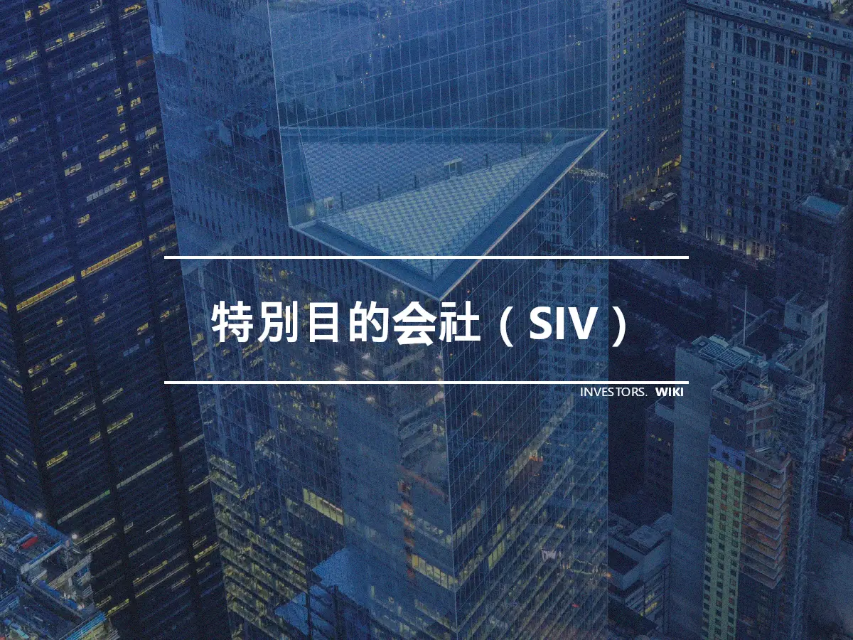 特別目的会社（SIV）