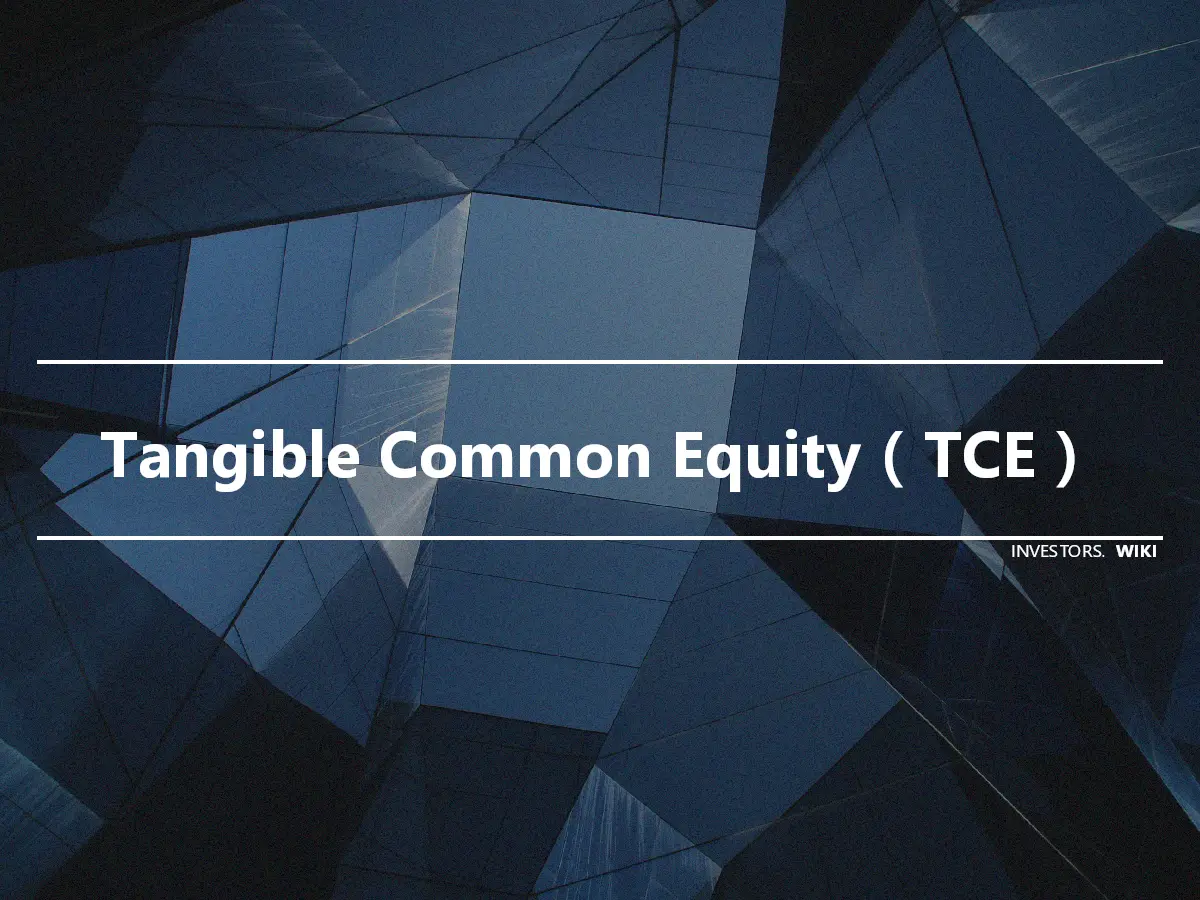 Tangible Common Equity（TCE）