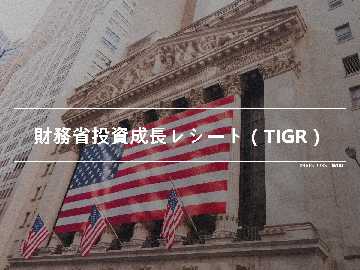 財務省投資成長レシート（TIGR）