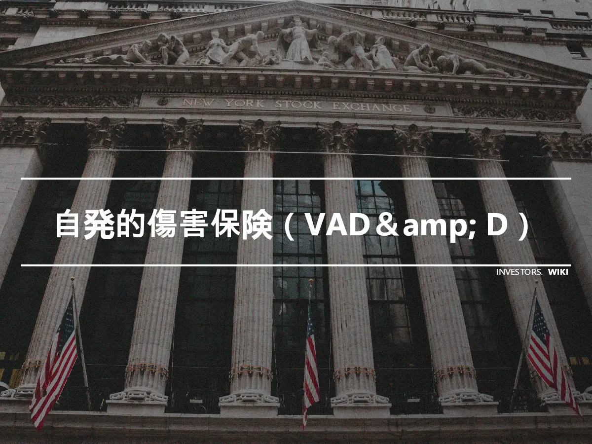 自発的傷害保険（VAD＆amp; D）