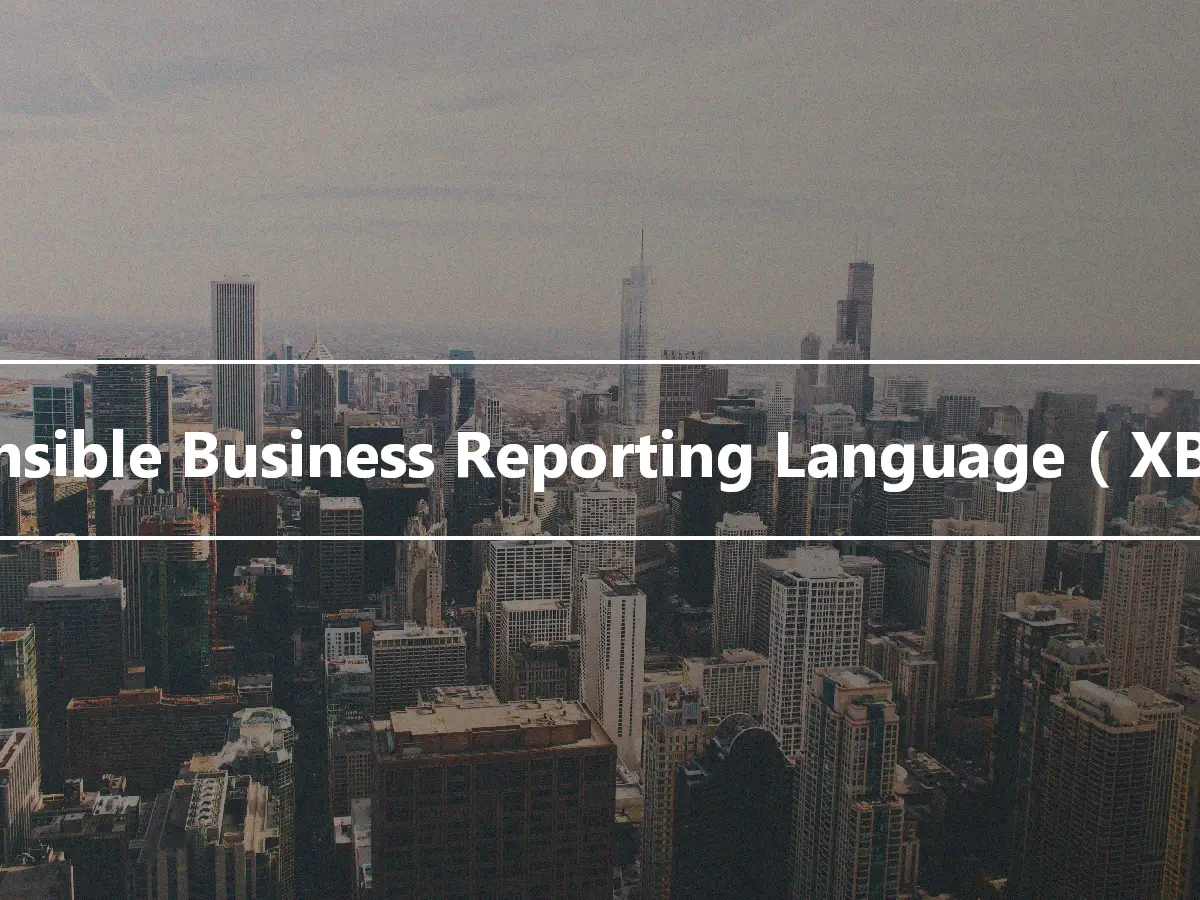 eXtensible Business Reporting Language（XBRL）