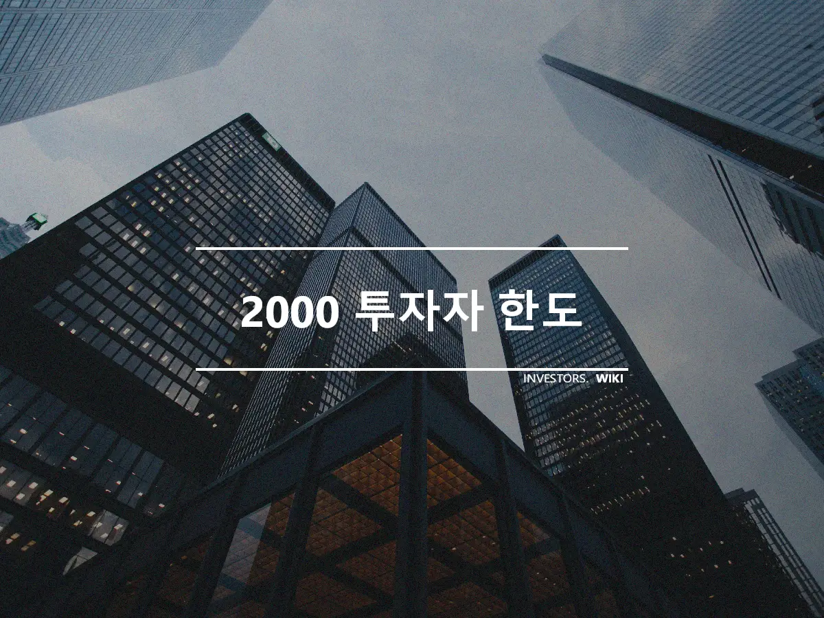 2000 투자자 한도