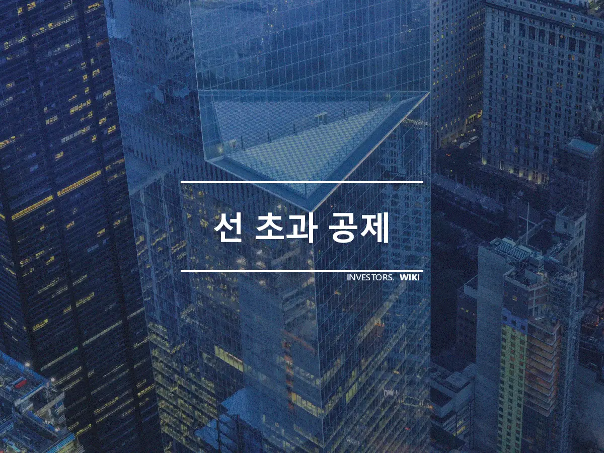 선 초과 공제