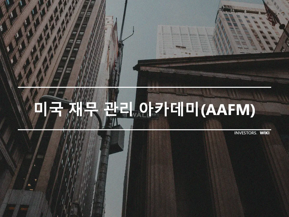 미국 재무 관리 아카데미(AAFM)