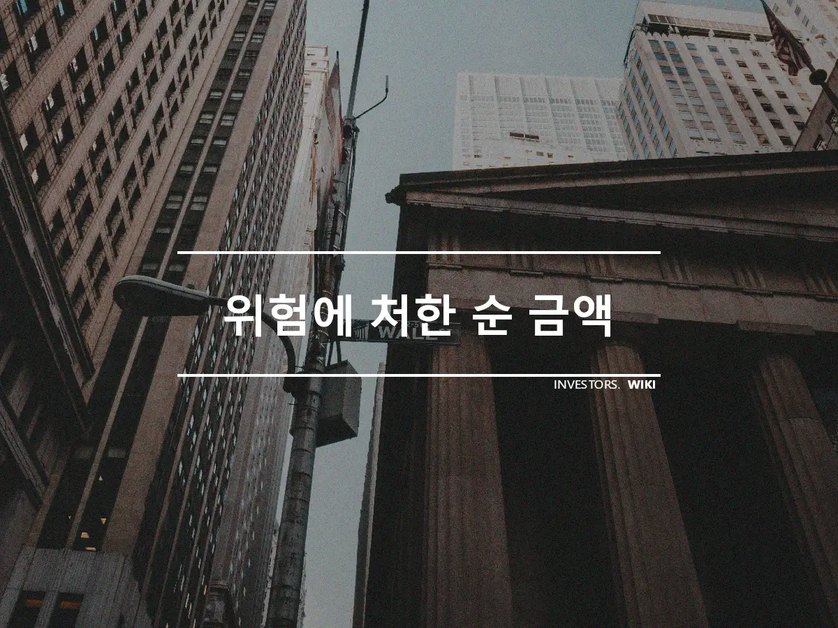 위험에 처한 순 금액