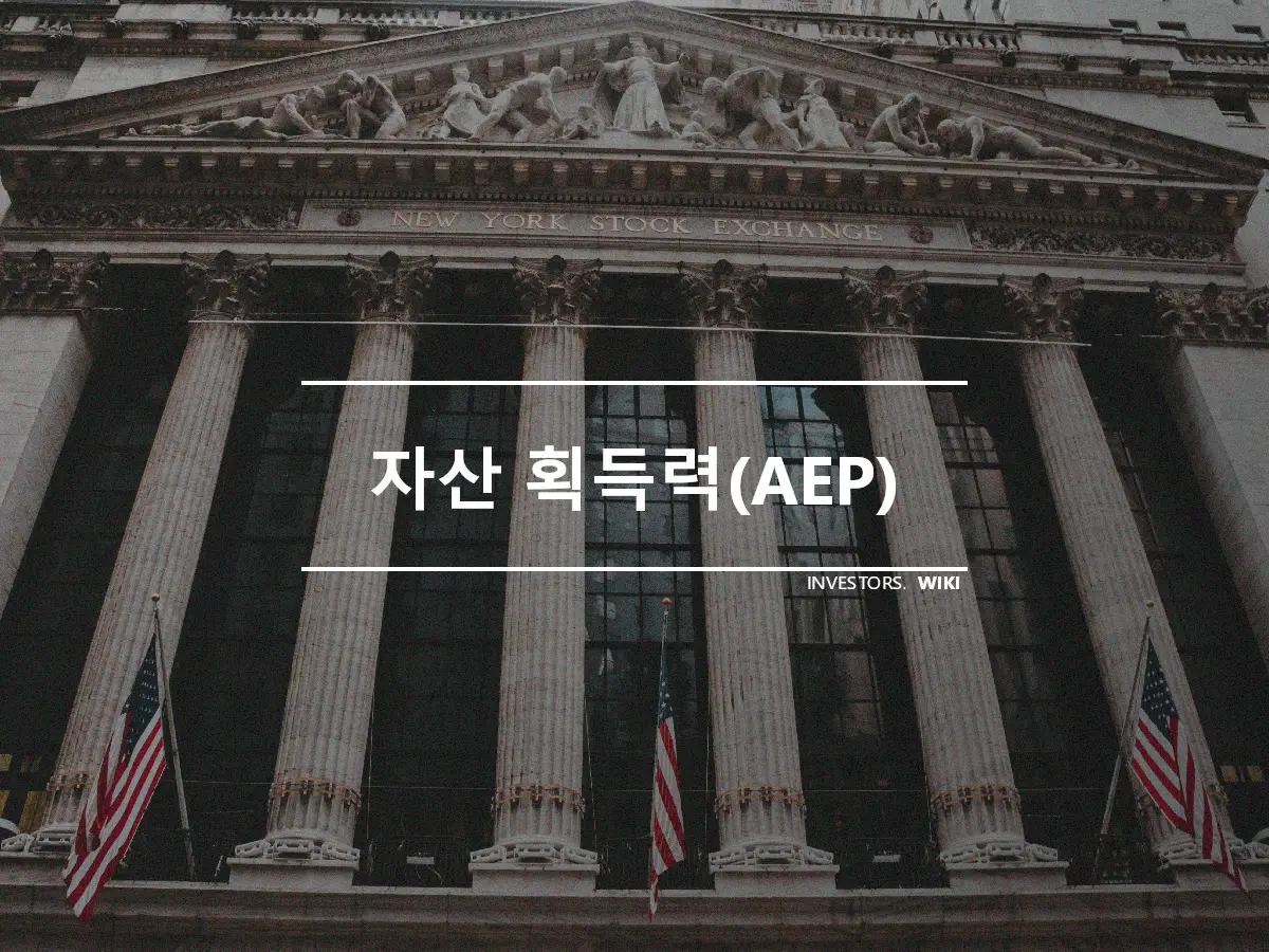 자산 획득력(AEP)