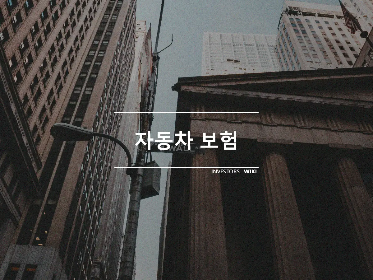 자동차 보험