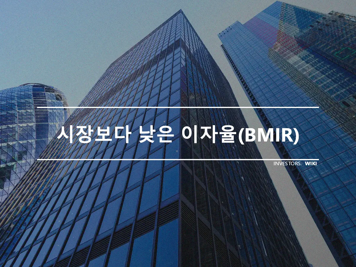 시장보다 낮은 이자율(BMIR)